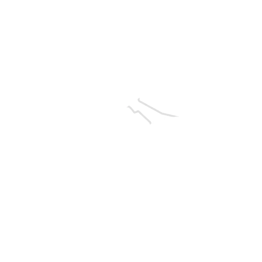 Circuit of the Americas