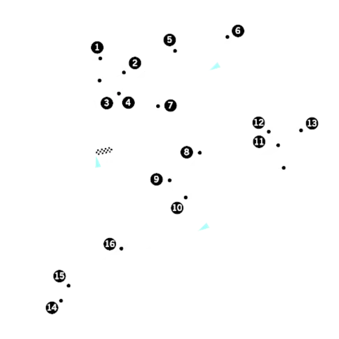 Shanghai International Circuit